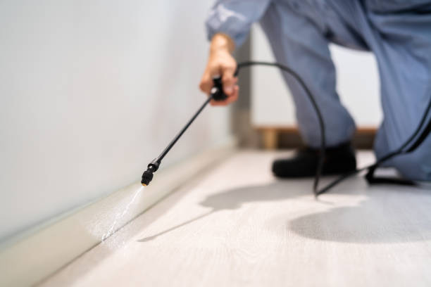 Licensed Termite Control service in Caledonia, MI - Nex Pest Control