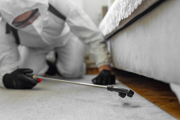 Professional Termite Control technician working in Caledonia, MI
