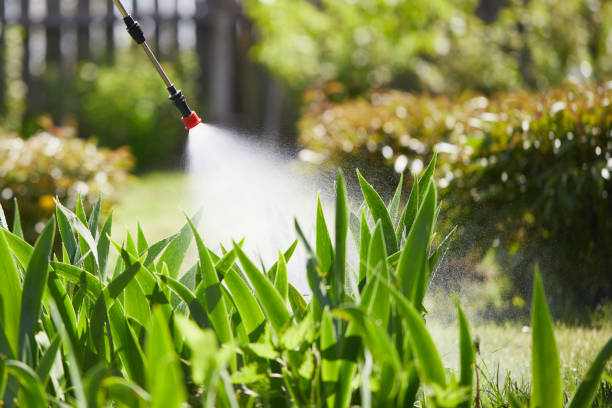 24/7 Emergency Termite Control experts in Caledonia, MI