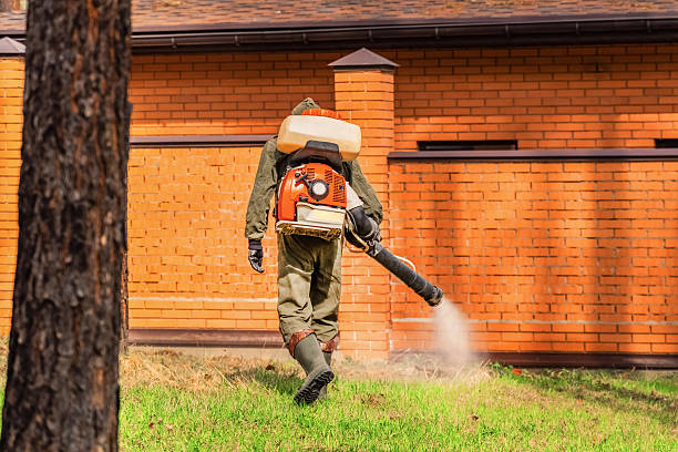 Top rated local Termite Control specialists in Caledonia, MI